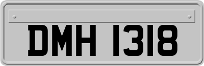 DMH1318