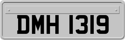 DMH1319