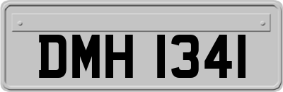 DMH1341