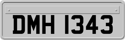 DMH1343