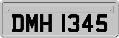 DMH1345