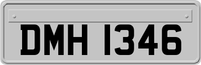 DMH1346