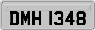 DMH1348