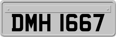 DMH1667