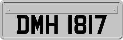 DMH1817
