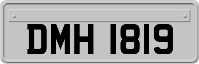 DMH1819