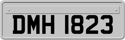 DMH1823