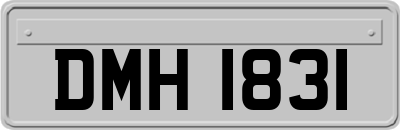 DMH1831