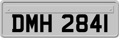 DMH2841