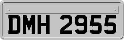 DMH2955