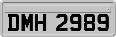 DMH2989