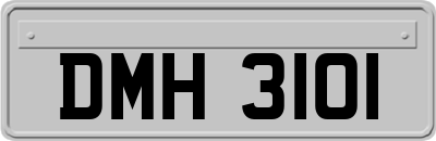 DMH3101