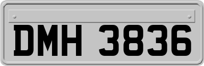 DMH3836
