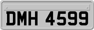 DMH4599