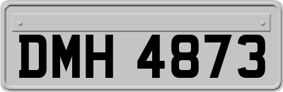 DMH4873