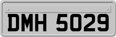 DMH5029