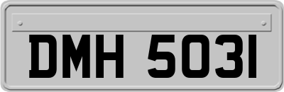DMH5031