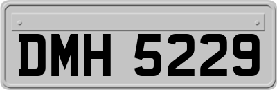 DMH5229