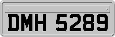 DMH5289