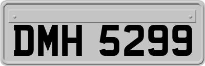 DMH5299