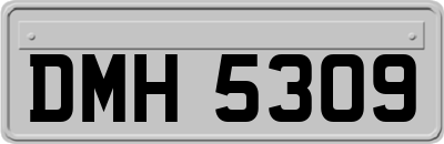 DMH5309