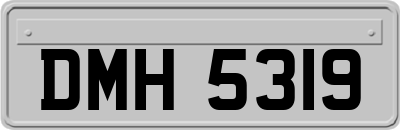 DMH5319