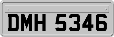 DMH5346