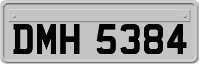 DMH5384