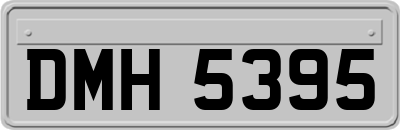 DMH5395