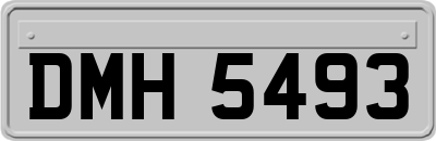 DMH5493