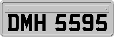 DMH5595