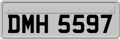 DMH5597