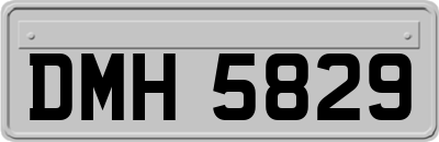 DMH5829