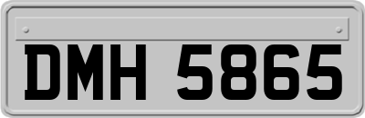 DMH5865