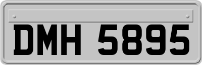 DMH5895