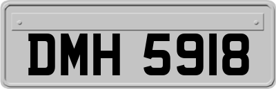 DMH5918
