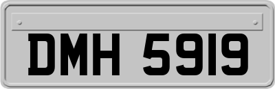 DMH5919