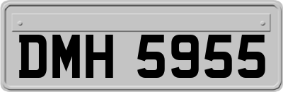 DMH5955