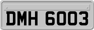DMH6003