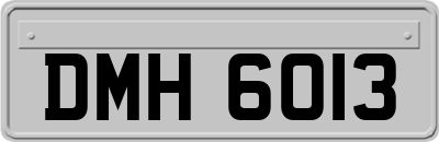 DMH6013