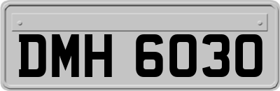 DMH6030