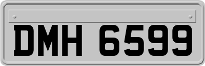 DMH6599