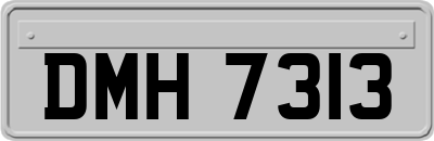 DMH7313