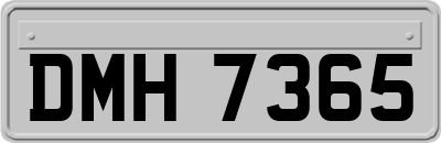 DMH7365