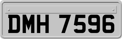 DMH7596