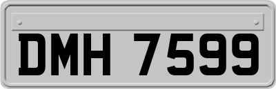 DMH7599