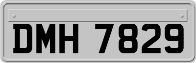 DMH7829