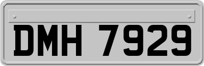 DMH7929