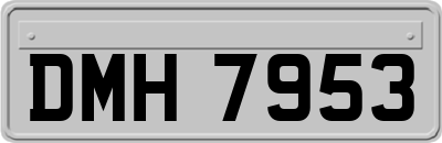 DMH7953