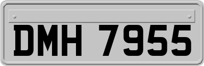DMH7955
